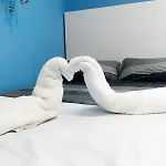 Rooms In Spacious Apartment In City Center