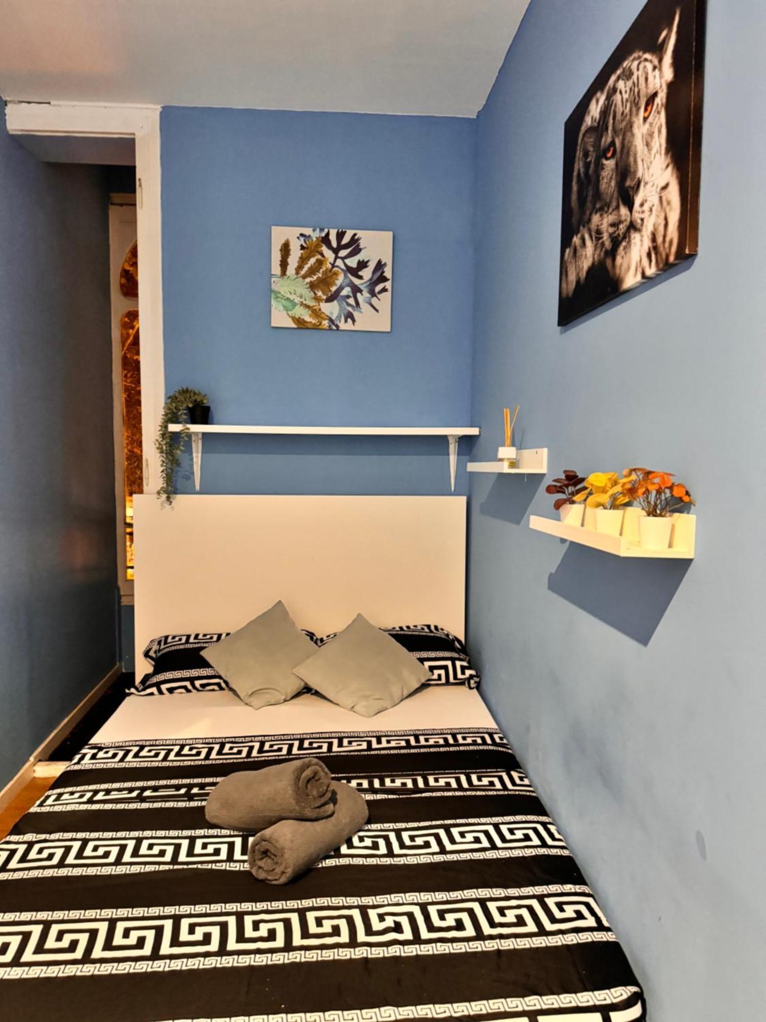 Apartment In Spacious In City Center